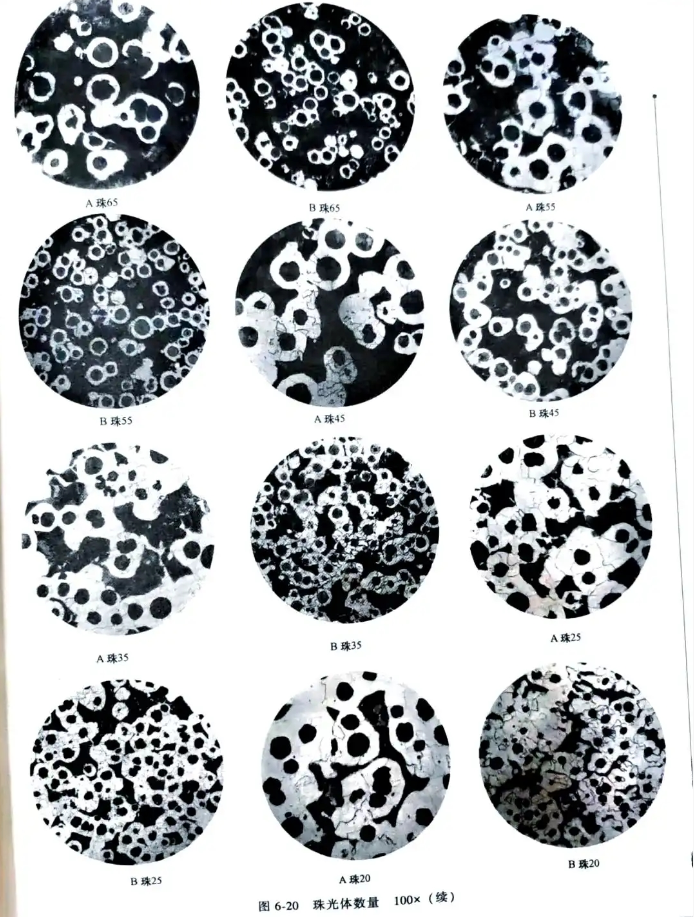 Influentia morphologiae graphiae in ferro fuso in effectu